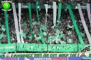 Saint-Etienne - Sochaux (GA92)_2