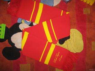 Echarpe à bandes Red Tigers