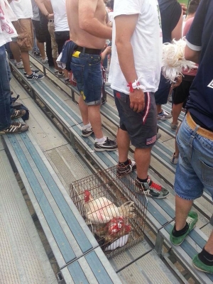 (2013-14) Latina - Bari