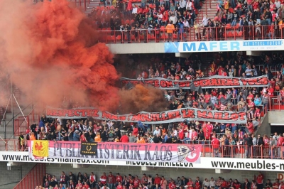 (2015-16) Standard - Lokeren