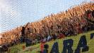 (2015-16) Benevento - Lecce_1