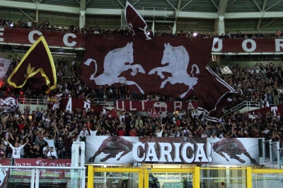 (2013-14) Torino - Hellas Verona
