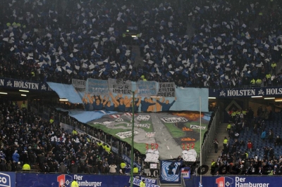 (2013-14) Hamburg - Schalke 04